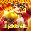 Logo da ipl365